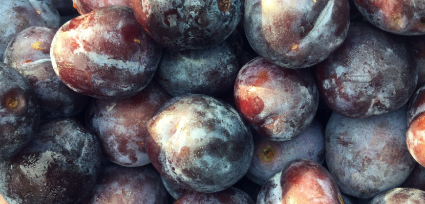 PIELERS_#besserdirekt (22).png