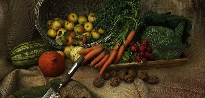 harvest-3679075.jpg