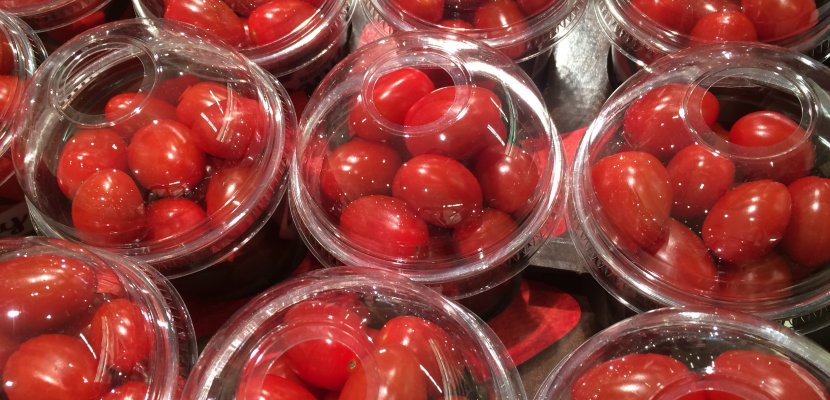 tomato-1666709.jpg