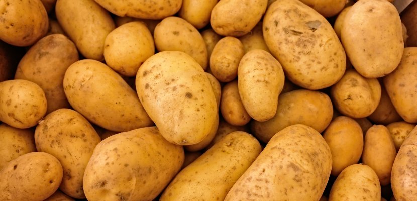 potatoes-411975.jpg