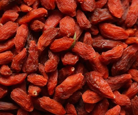 Gojibeeren_superfood_gesund.jpeg