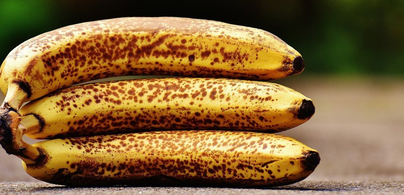 bananas-1735006_19202.jpg