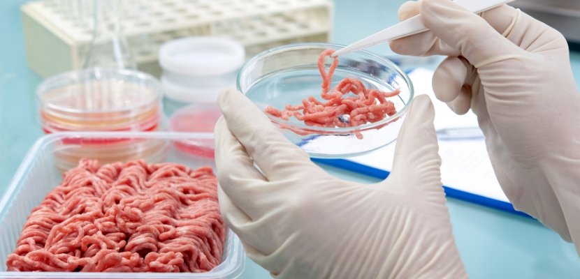 Fleisch - Labor - Chemie.jpg