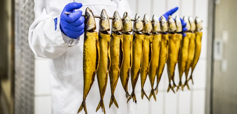 HHH_9004_Fisch_dreistern_Fiedler.jpg