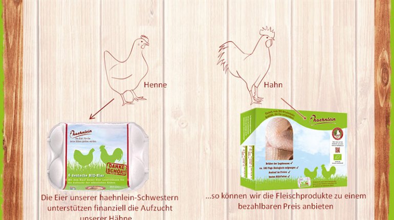 haehnlein