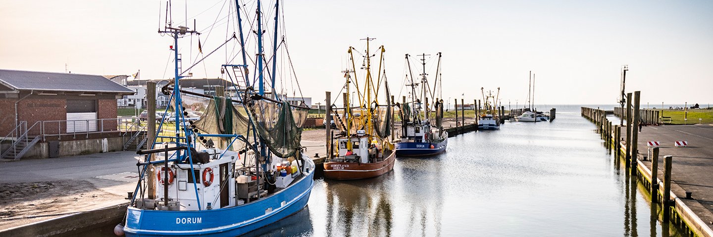 HHH_8860_Hafen_Schiff_Fisch_Krabben.jpg